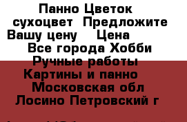 Панно Цветок - сухоцвет. Предложите Вашу цену! › Цена ­ 4 000 - Все города Хобби. Ручные работы » Картины и панно   . Московская обл.,Лосино-Петровский г.